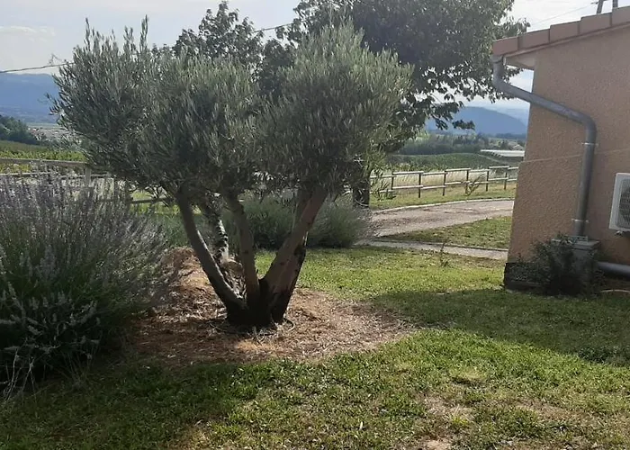 Le Pressoir