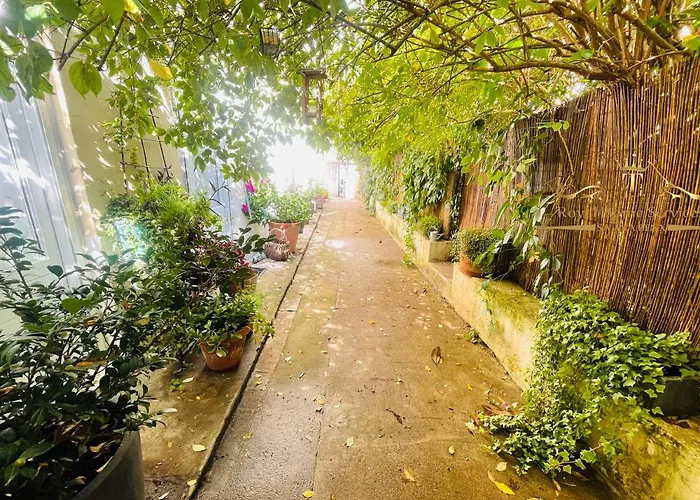 La Petite Maison Dans La Croix Rousse