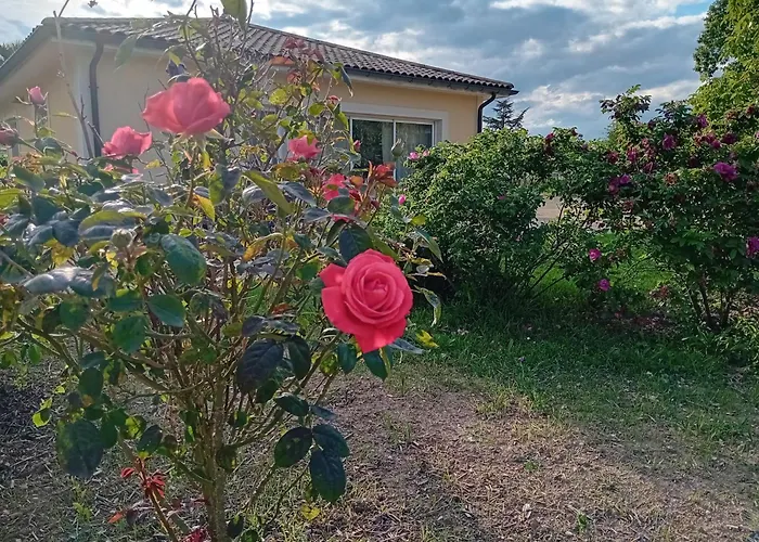 Gite L'Entraxe Tres Lumineux Au Coeur De Saint Didier
